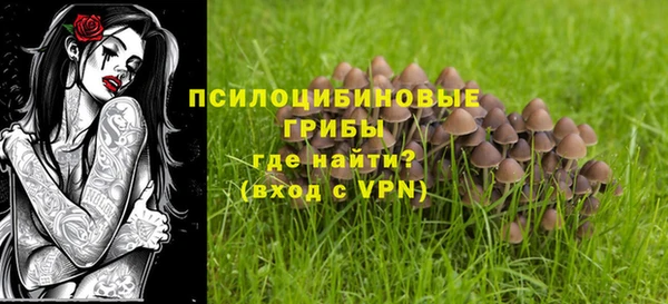 прущая мука Абаза