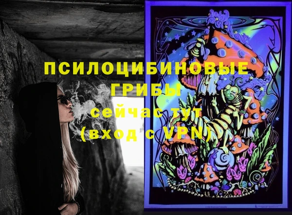 стаф Абдулино