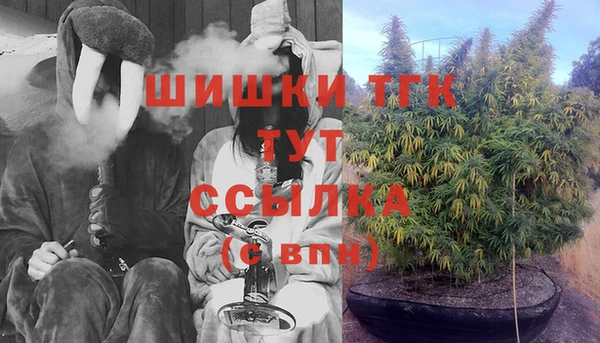 стаф Абдулино